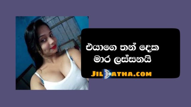 ආරක්ශාවට | Arakshawata sinhala wal katha pdf