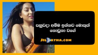 Pawani family Story | පවනි පවුලෙ කතාව | Sinhala Wal Katha