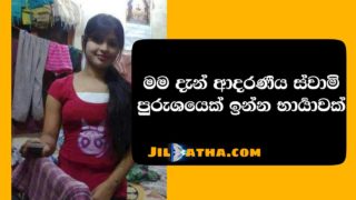 අශාවරී 1 වලත්තිගෙ කතාව – Ashawaree 1 Walaththige Kathawa | Sinhala Wal katha