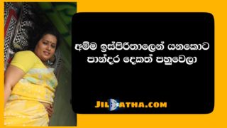 Akkara Waththe Pisachaya 3 අක්කර වත්තෙ පිසාචයා 3 [X Avera Original Story]
