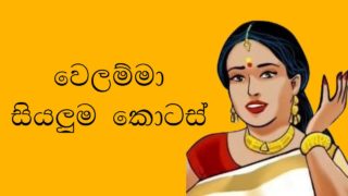 Velamma Comic Sinhala – වෙලම්මා චිත්‍ර කතා