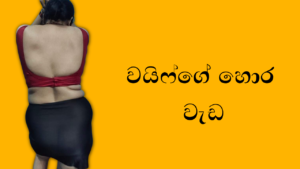 Hora Geni Hora Minihai - Sinhala Wal Katha - Sri Lankan Sex Videos & Wal Katha