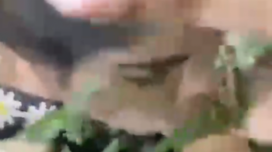 Hot Teen Get A Blowjob Outside From Home- Sri Lankan Jungle Leak